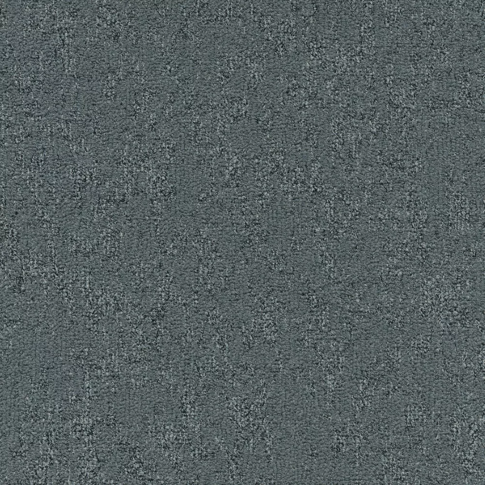 586