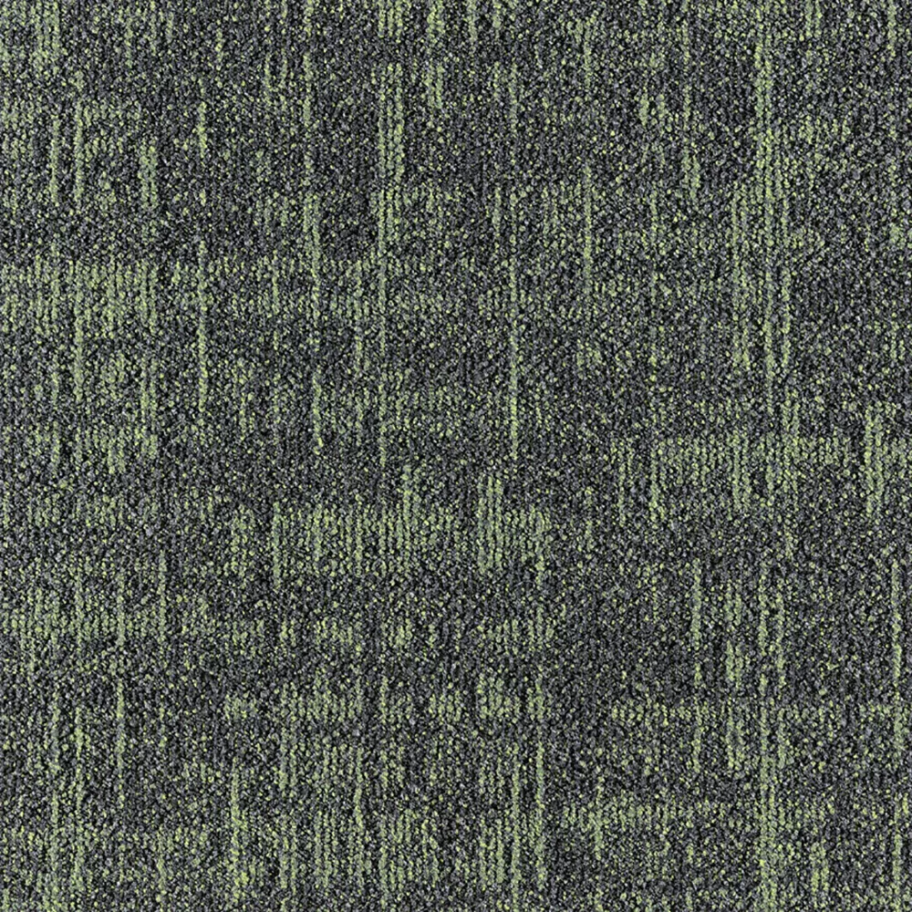 659