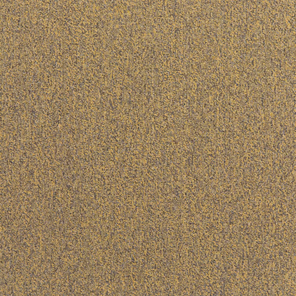 225