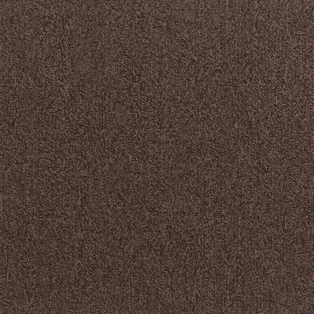 806
