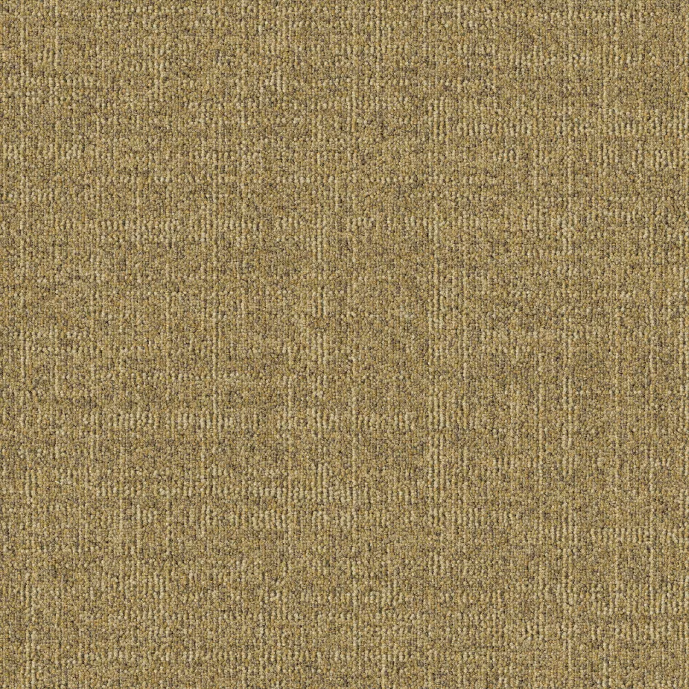 216