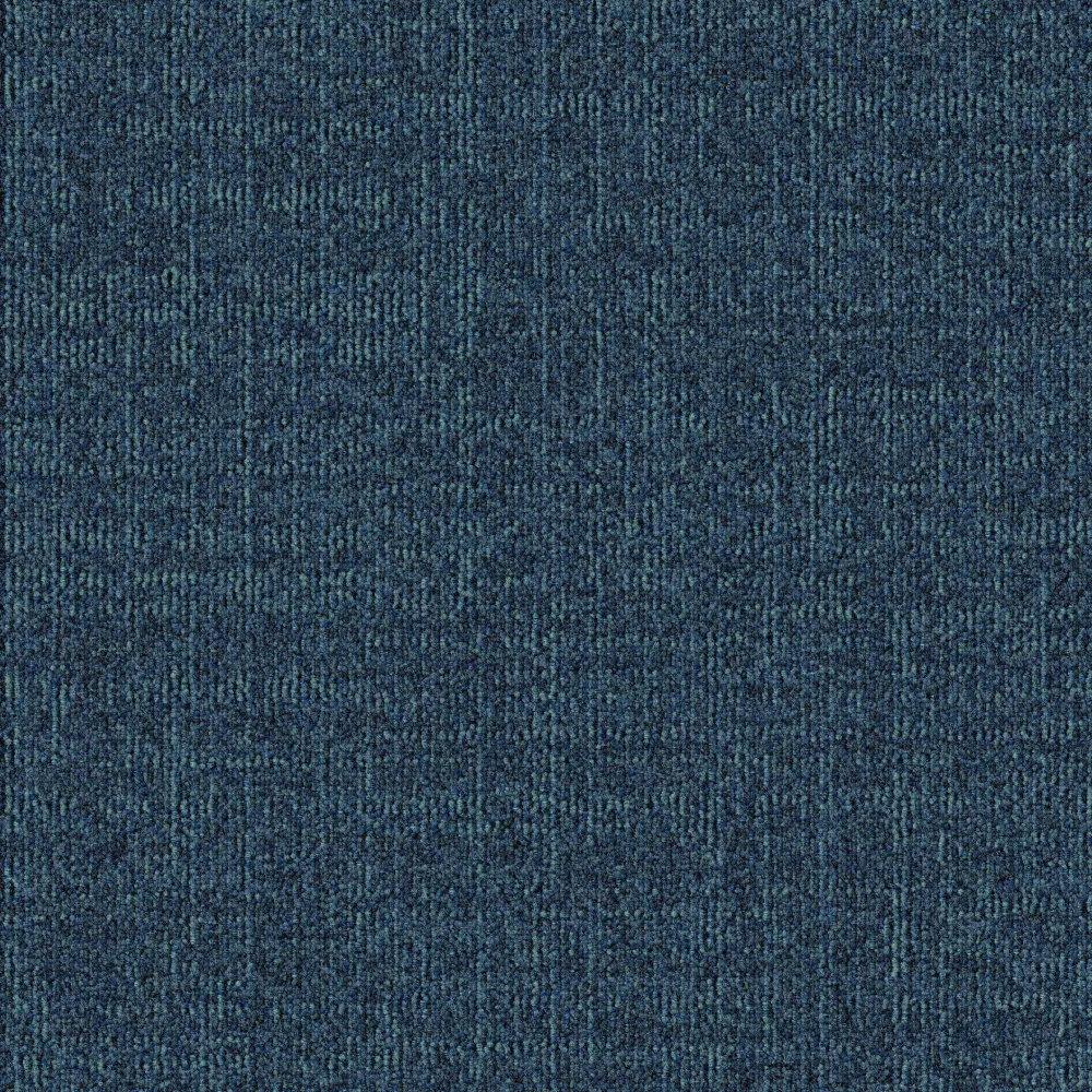 579
