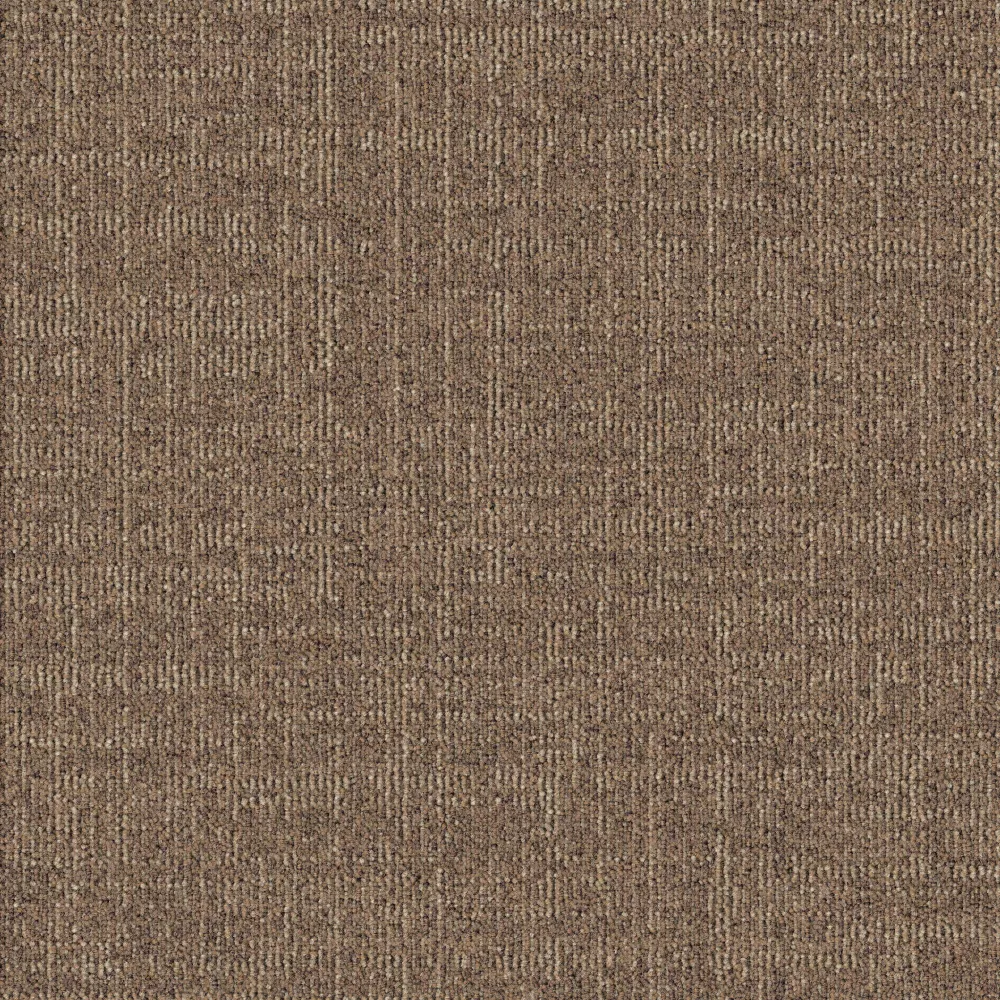 831