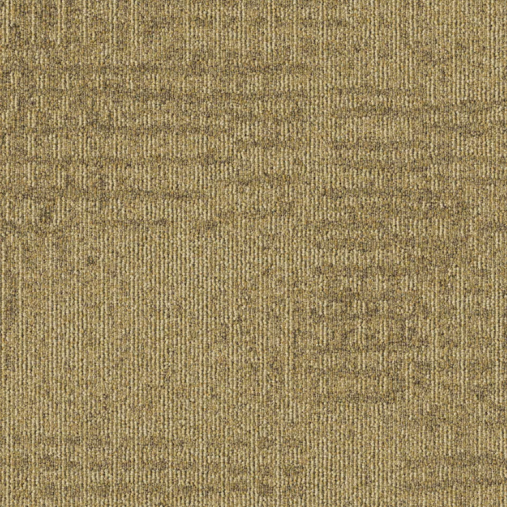 216