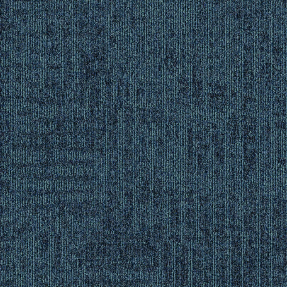 579