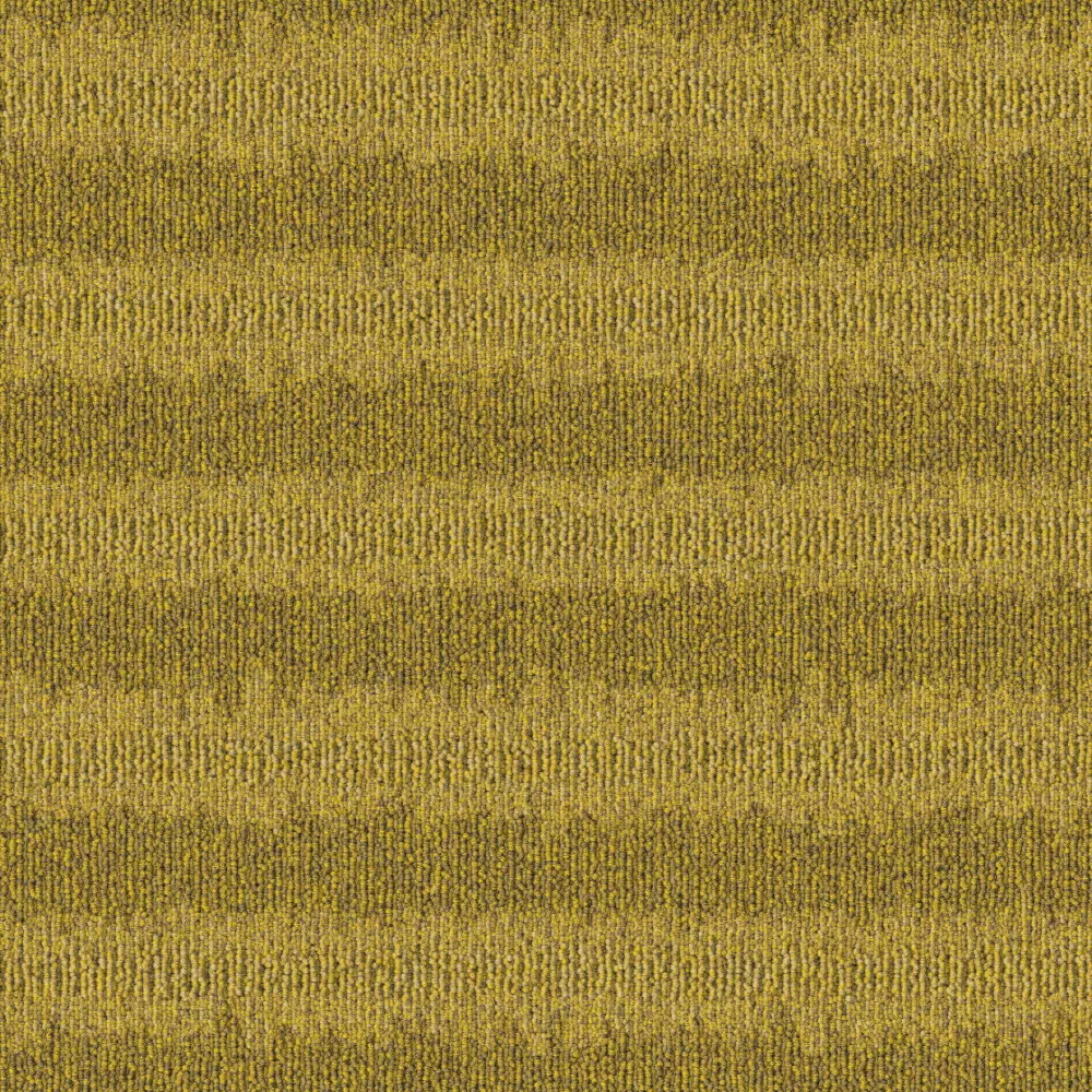 224