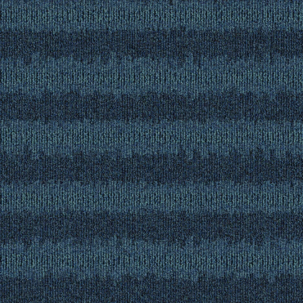 579
