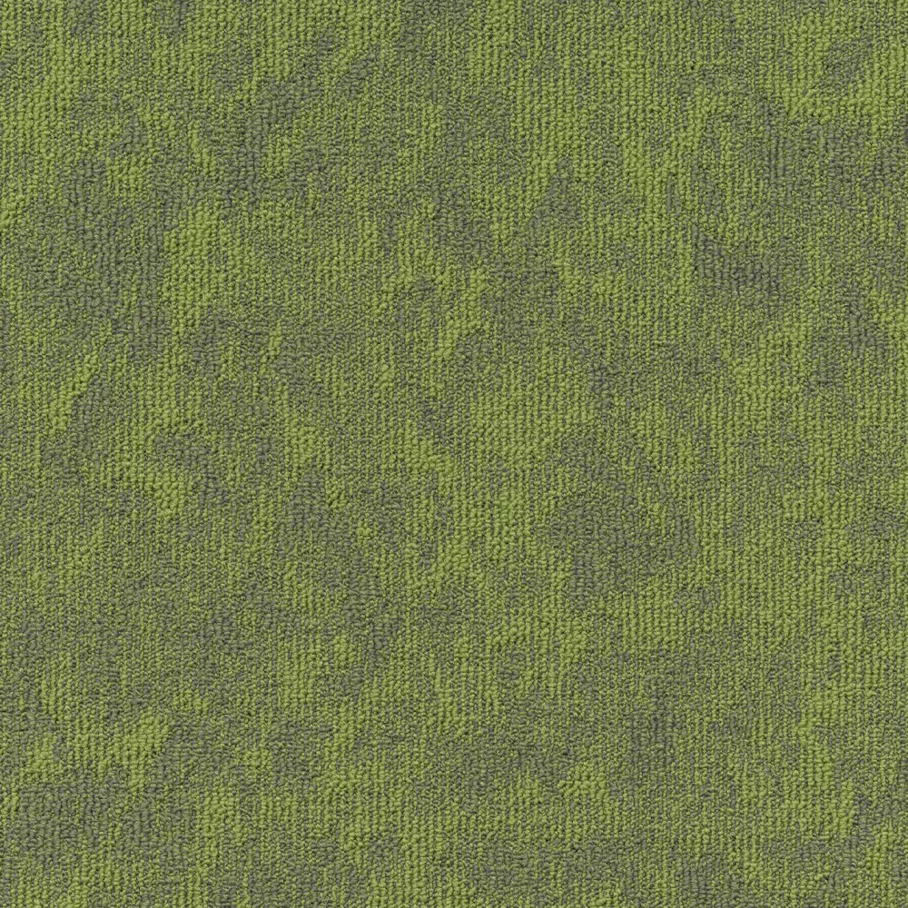 669