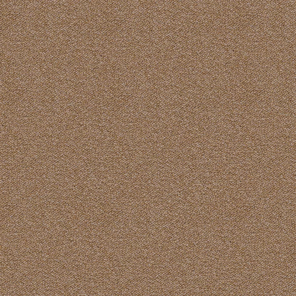 221