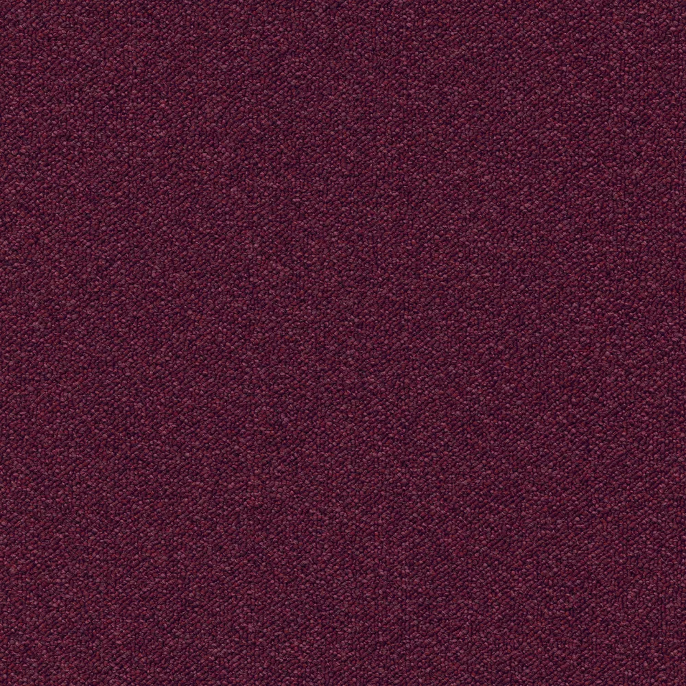355