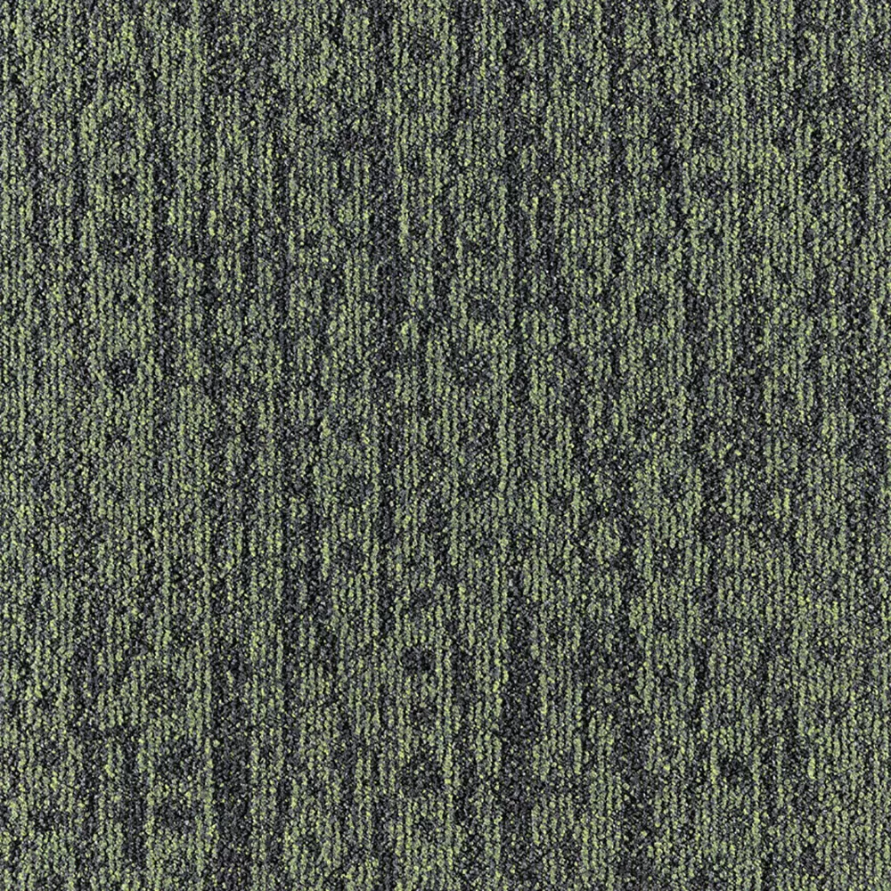 659