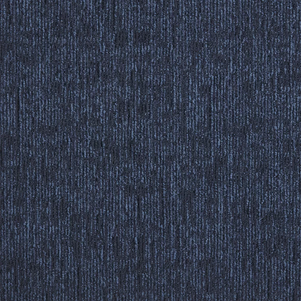 569