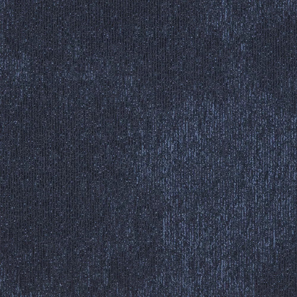 569