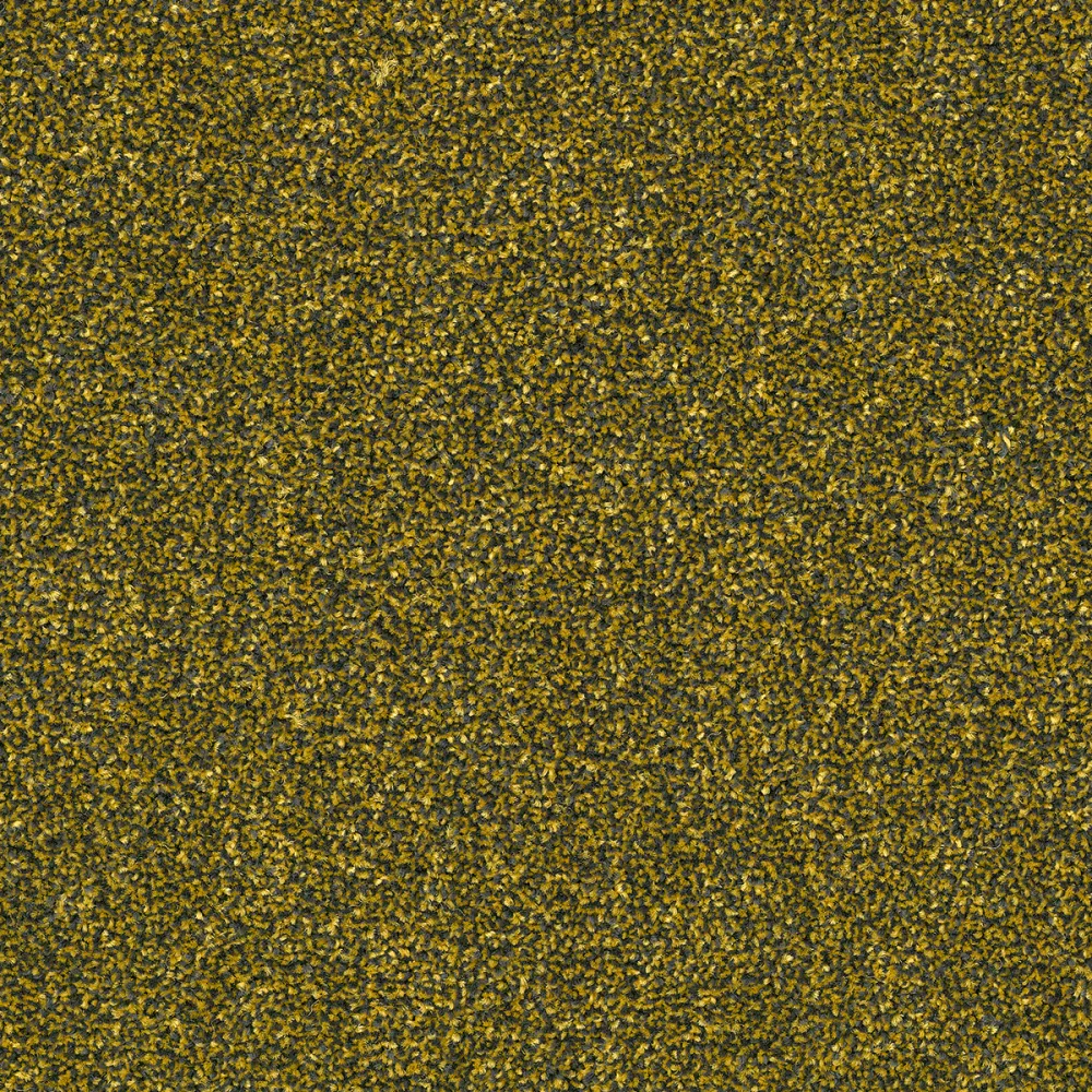 282