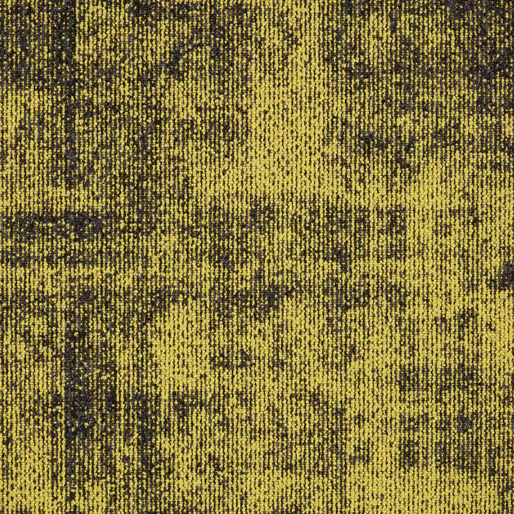 First Define sd b2b 50x50 cm
