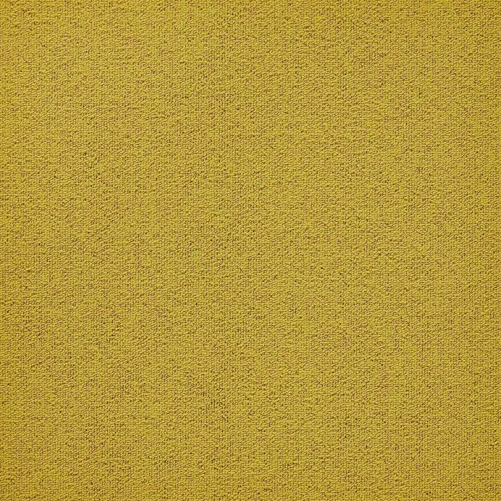 210