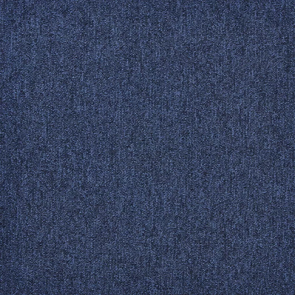 504