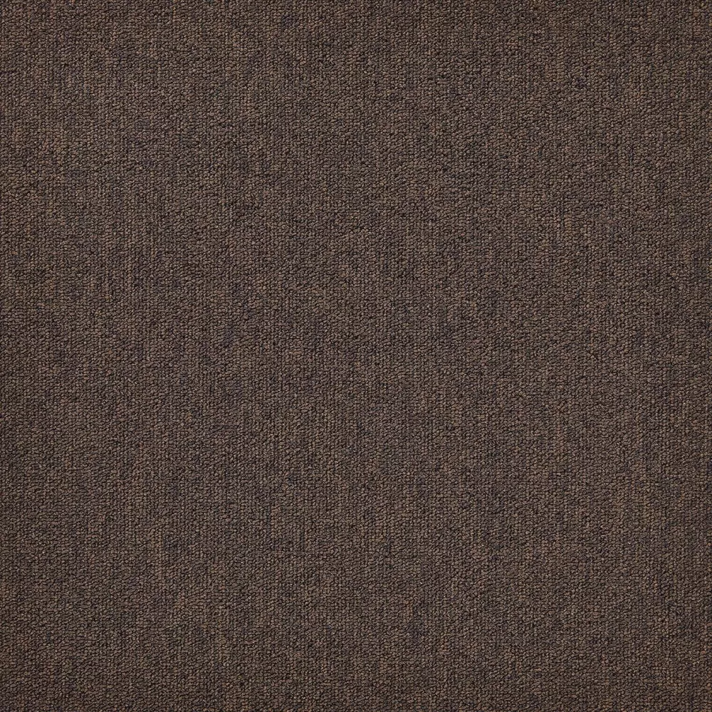 804