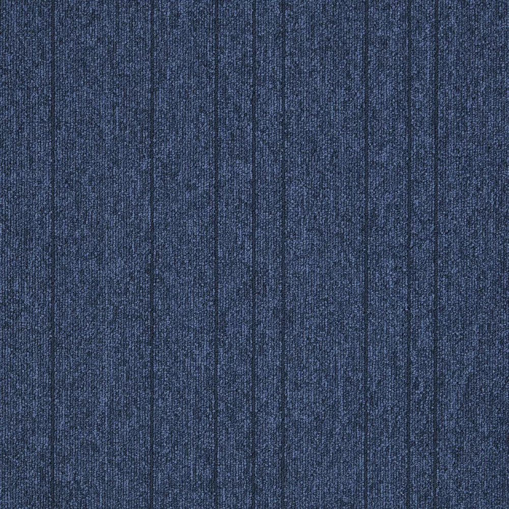 504
