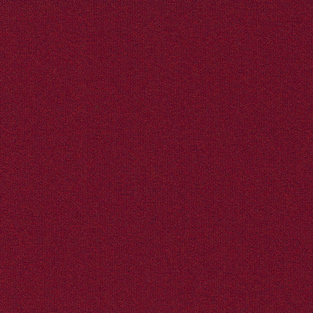 355