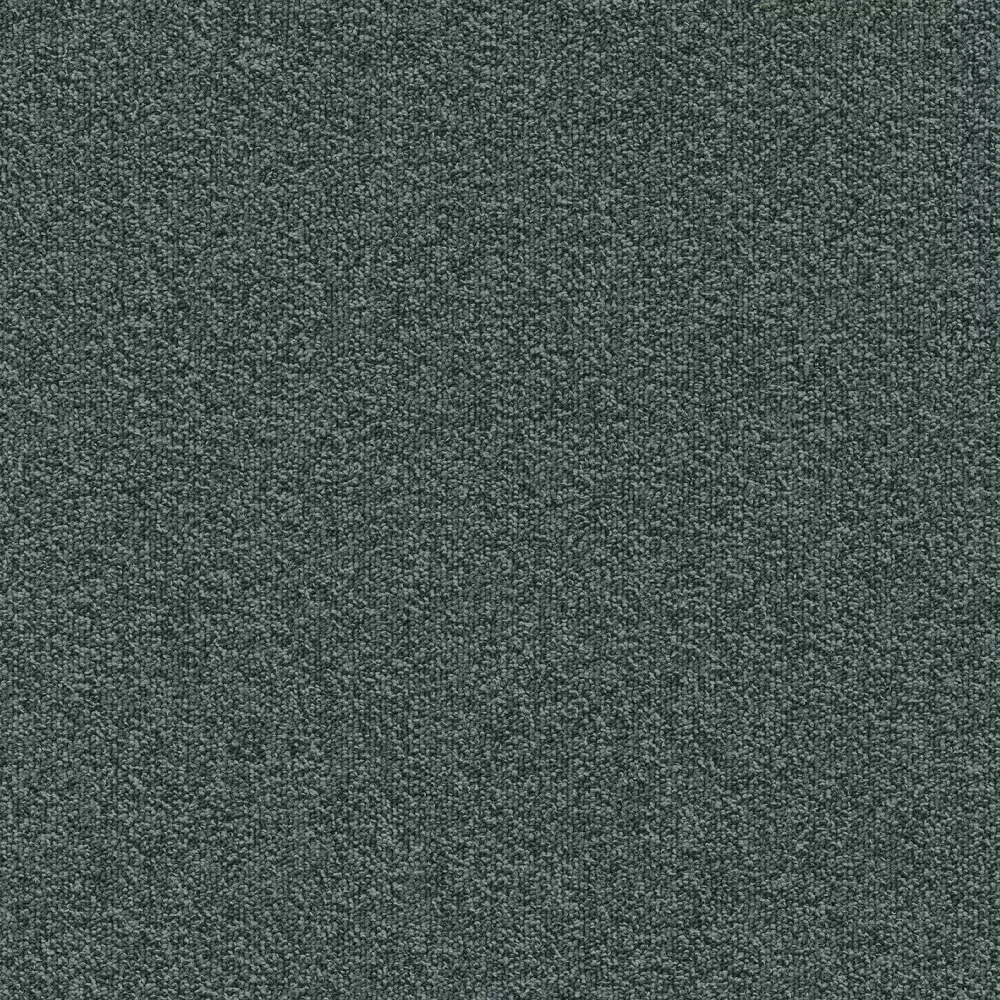579