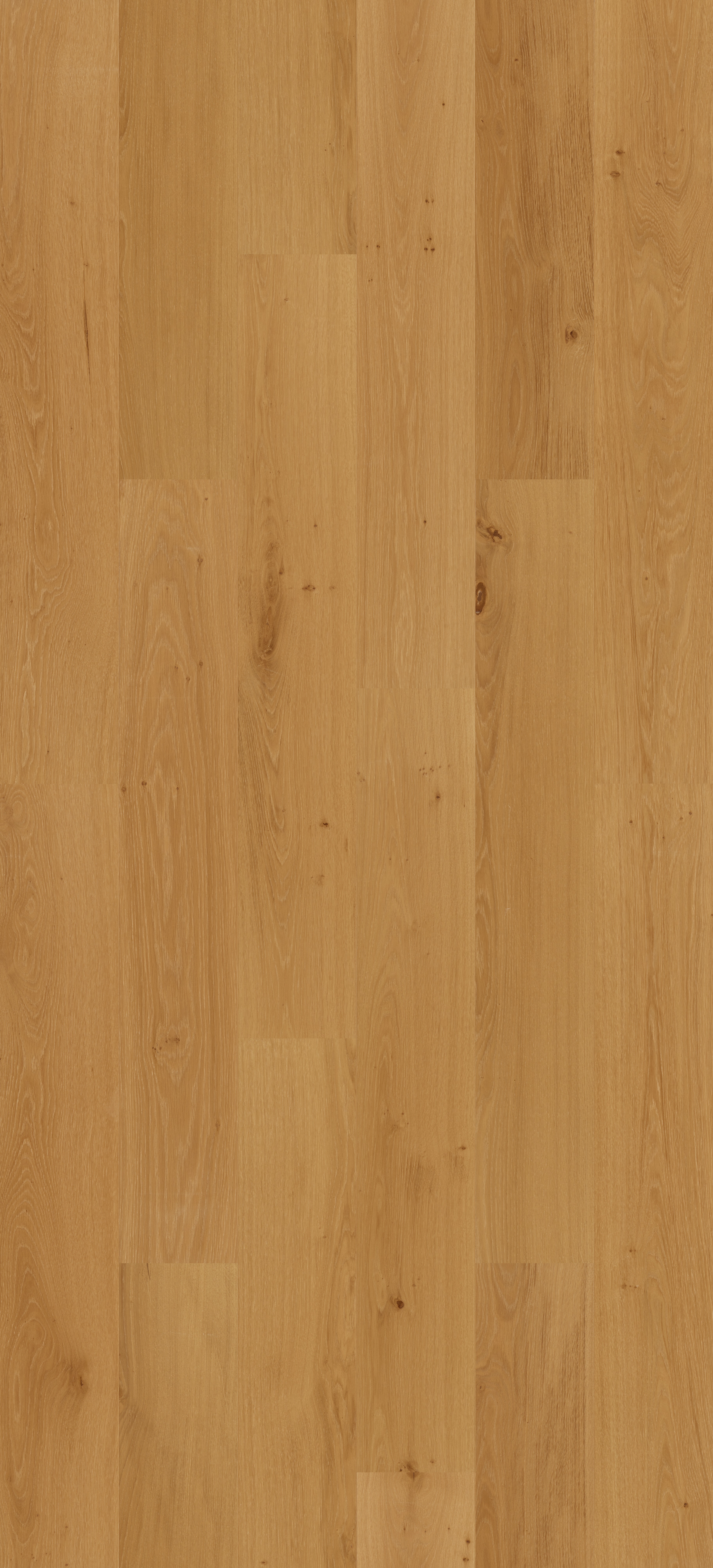 Parqwood v2 XL 185x1190 mm Naturel