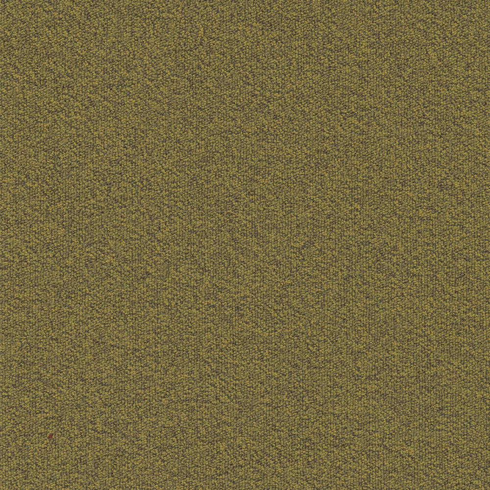 210