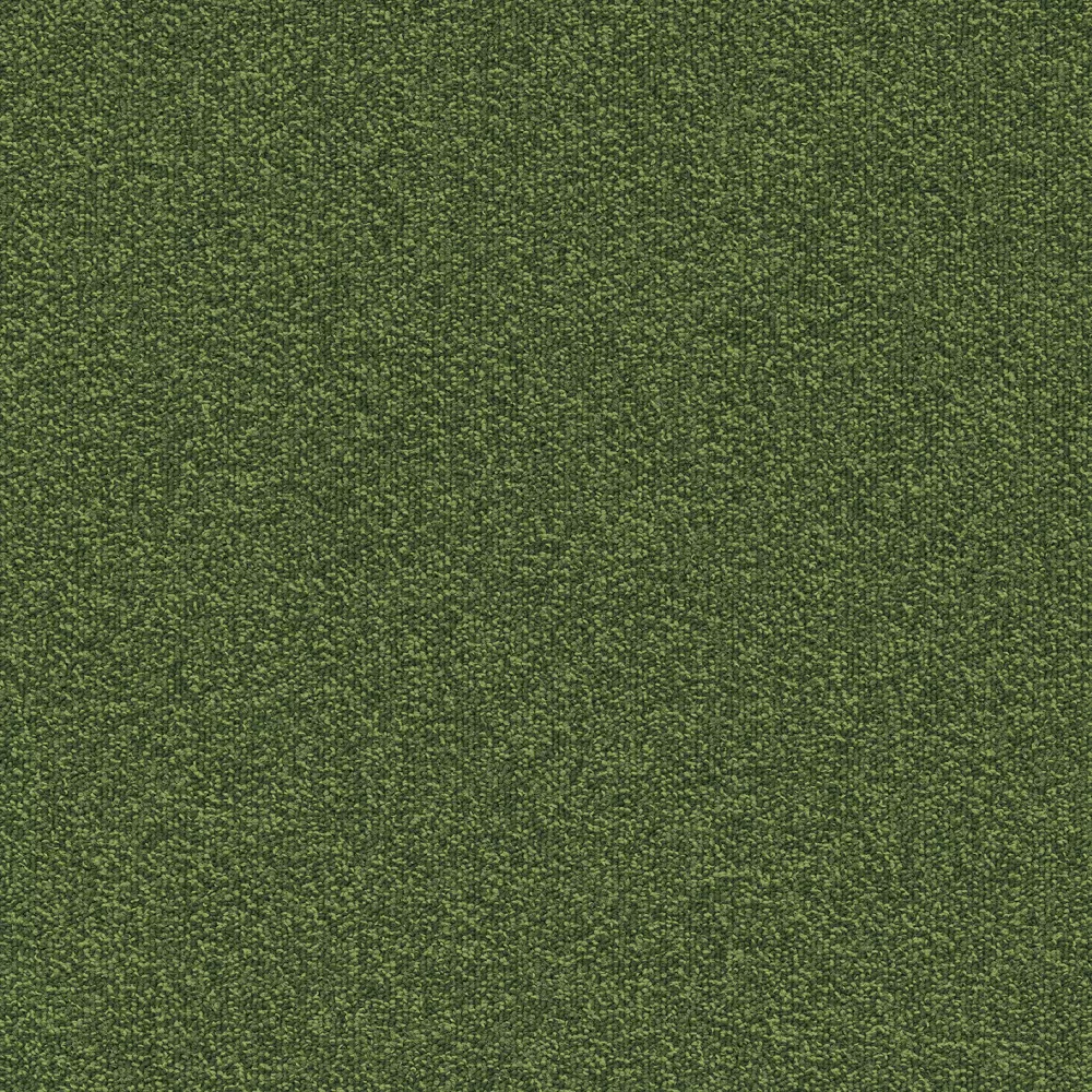 669