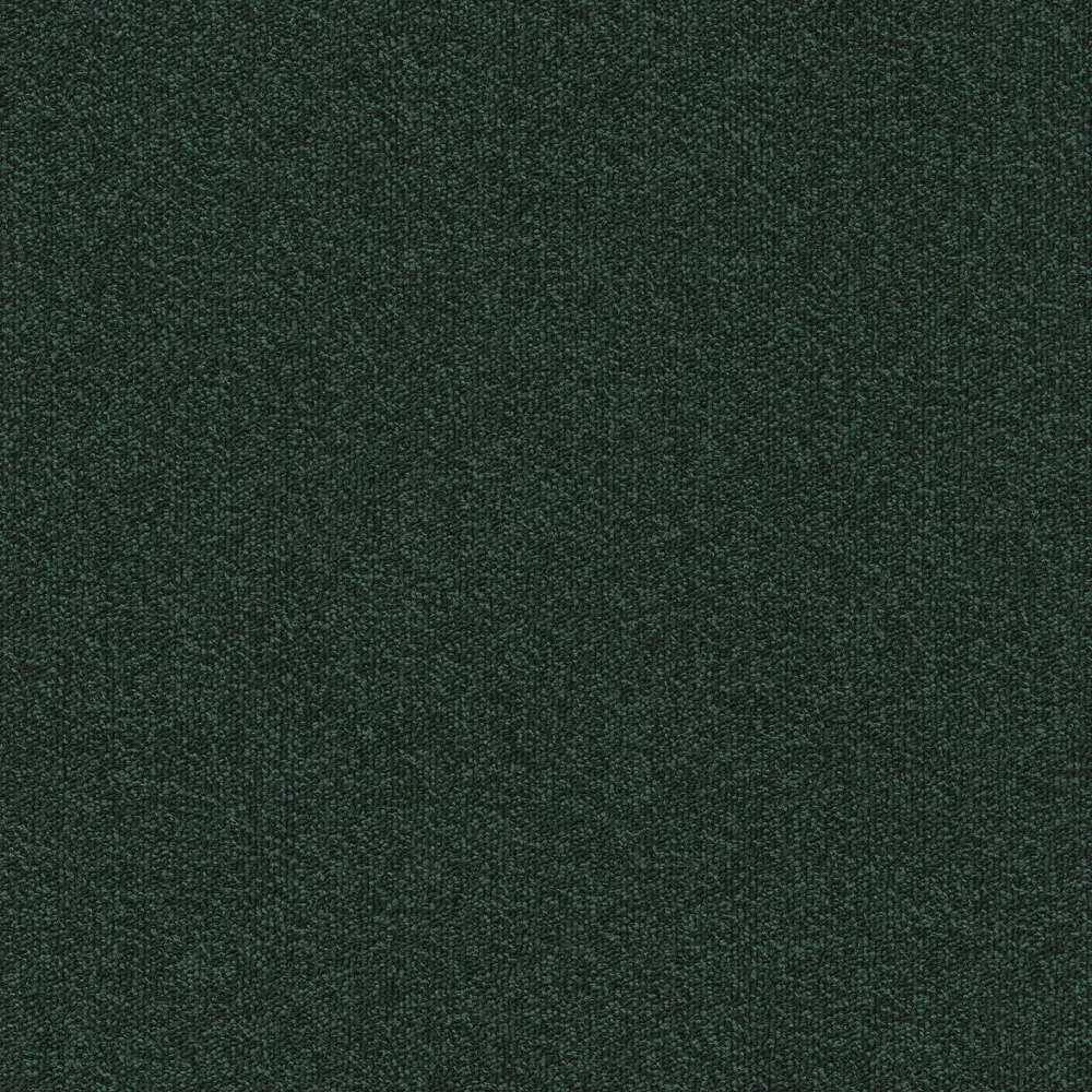 684
