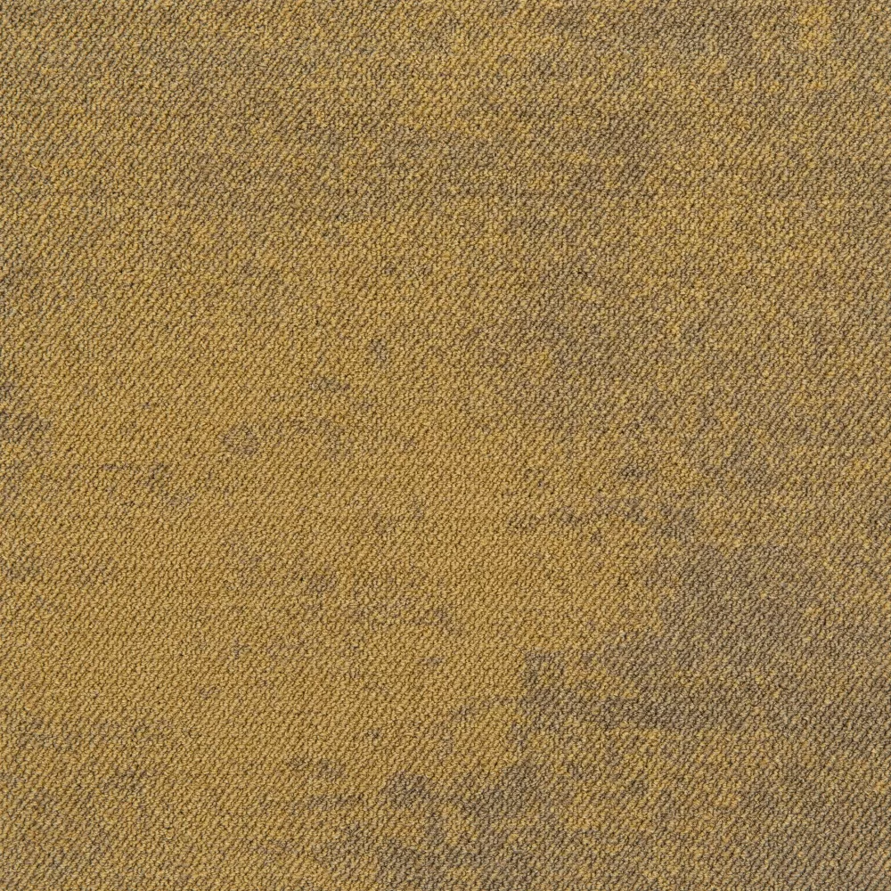 Haze lp b2b 50x50 cm