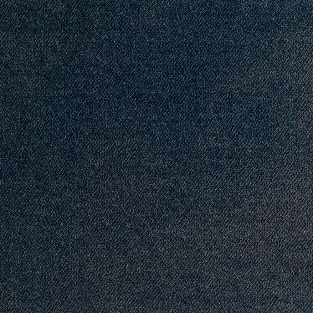 LP 569