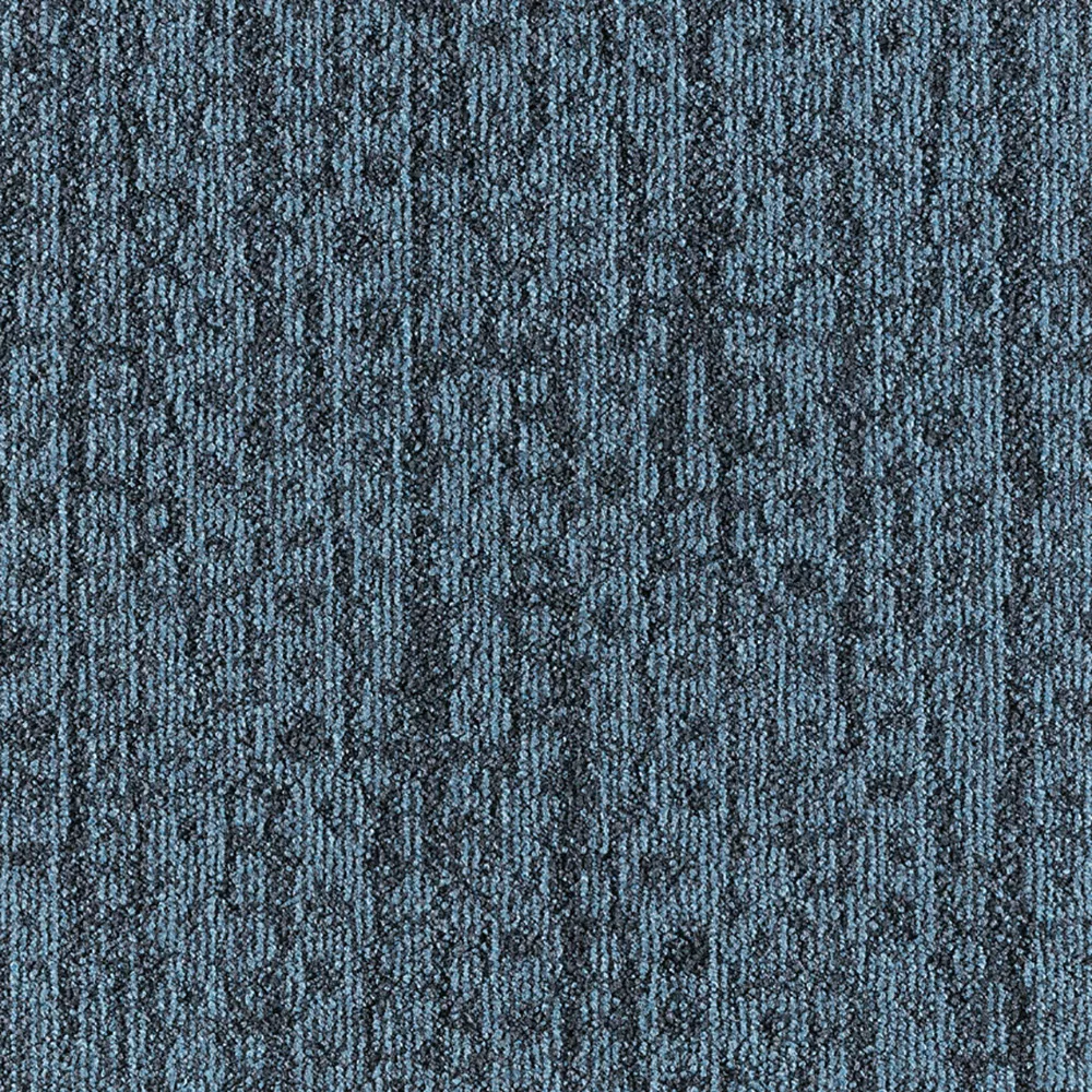 501 Gradient