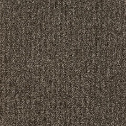 880