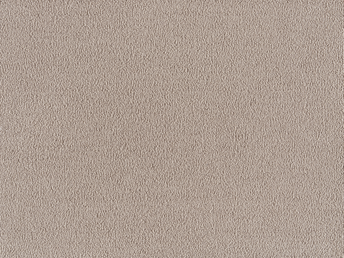 260 Camel