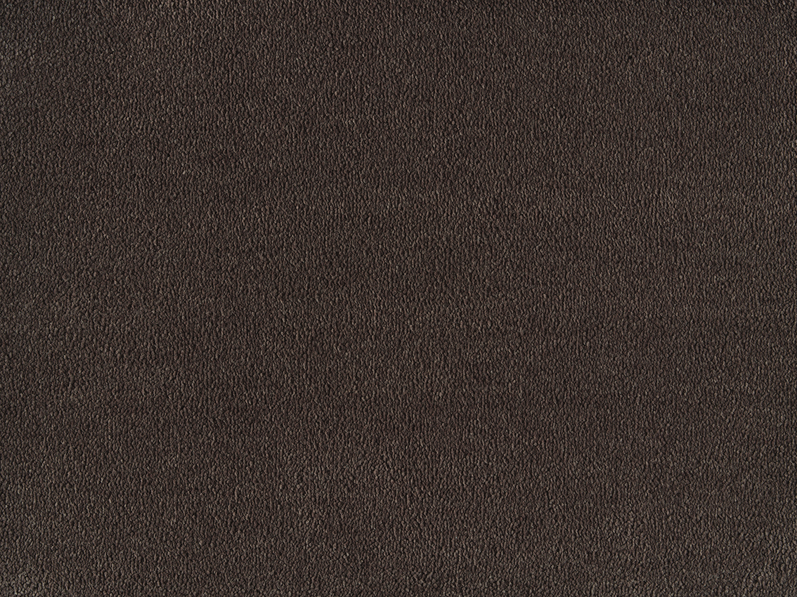 290 Sepia
