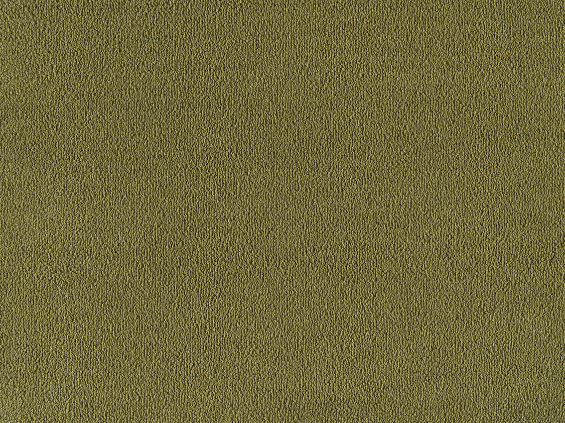 500 Olive