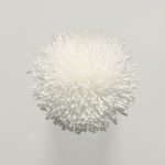 FdS Band 0 Botanical Silk (T)