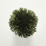 T121 Jungle Green