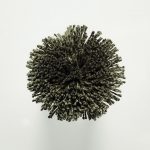 T127 Seaweed