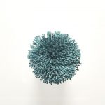 T36 Blue Coral