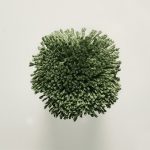 T46 Forest Green
