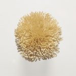 T86 Dried Wheat