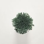 TT168 Cactus Green