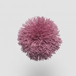 TW716 Cashmere Rose