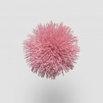 TW757 Rose