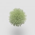 TW763 Jade Lime