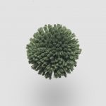 W564 Forest Green