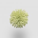 W565 Daiquiri Green