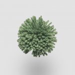 W770 Garden Green
