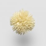 W940 Yellow Cream